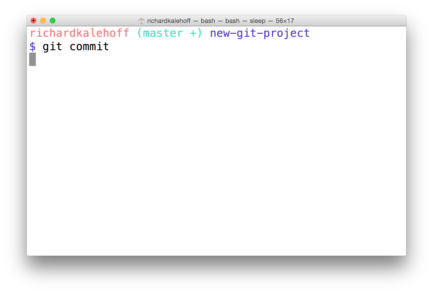 _The Terminal application showing `git commit` but it appears to be hanging and waiting for something._